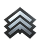 Next rank: = Sergeant = after 20 points Next rank: = Sergeant = after 20 points